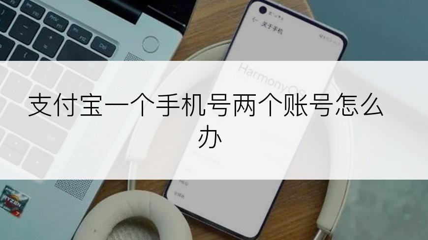支付宝一个手机号两个账号怎么办