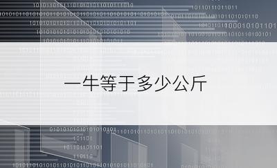 一牛等于多少公斤