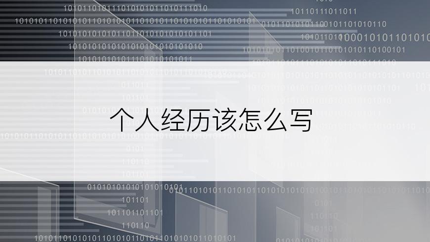 个人经历该怎么写