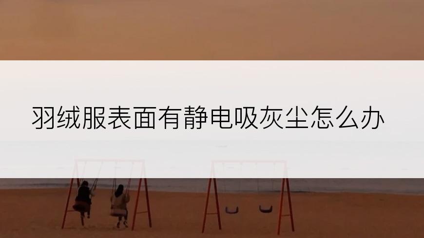 羽绒服表面有静电吸灰尘怎么办