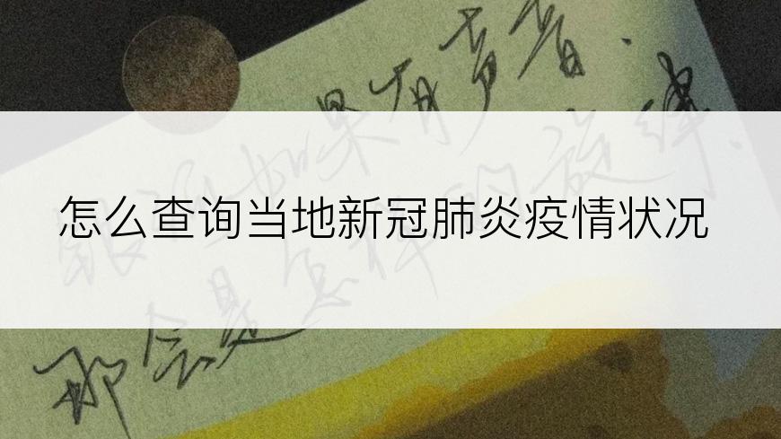 怎么查询当地新冠肺炎疫情状况