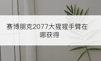 赛博朋克2077大猩猩手臂在哪获得