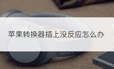 苹果转换器插上没反应怎么办