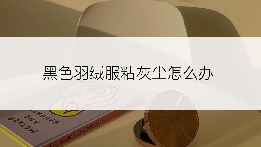 黑色羽绒服粘灰尘怎么办