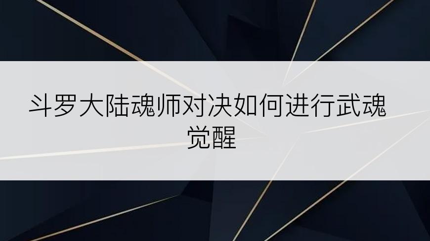 斗罗大陆魂师对决如何进行武魂觉醒