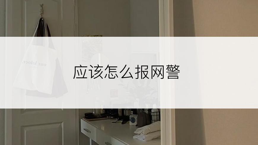 应该怎么报网警