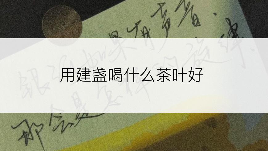 用建盏喝什么茶叶好