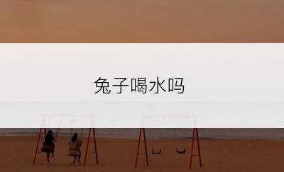 兔子喝水吗