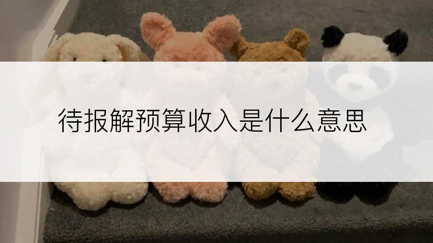 待报解预算收入是什么意思