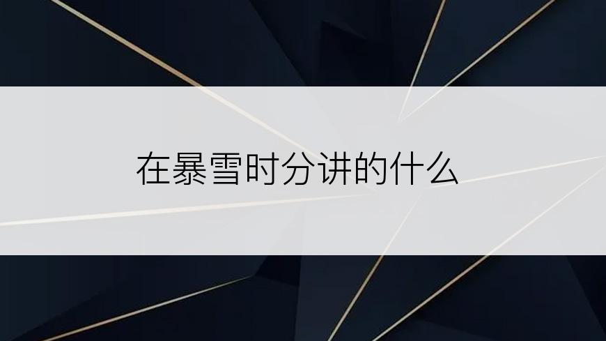 在暴雪时分讲的什么