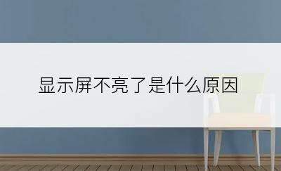 显示屏不亮了是什么原因