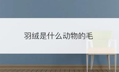 羽绒是什么动物的毛