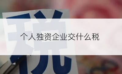 个人独资企业交什么税