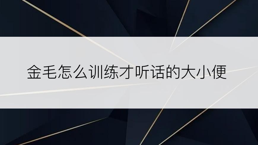 金毛怎么训练才听话的大小便