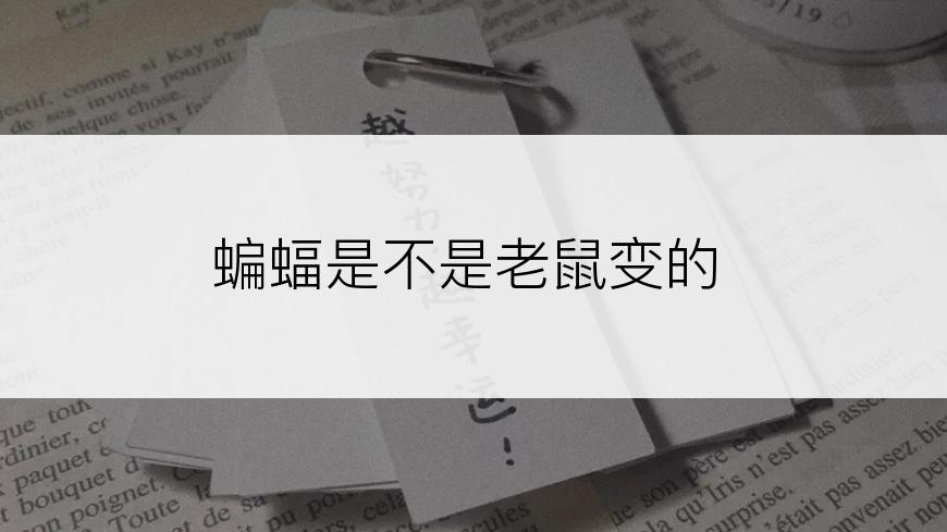 蝙蝠是不是老鼠变的