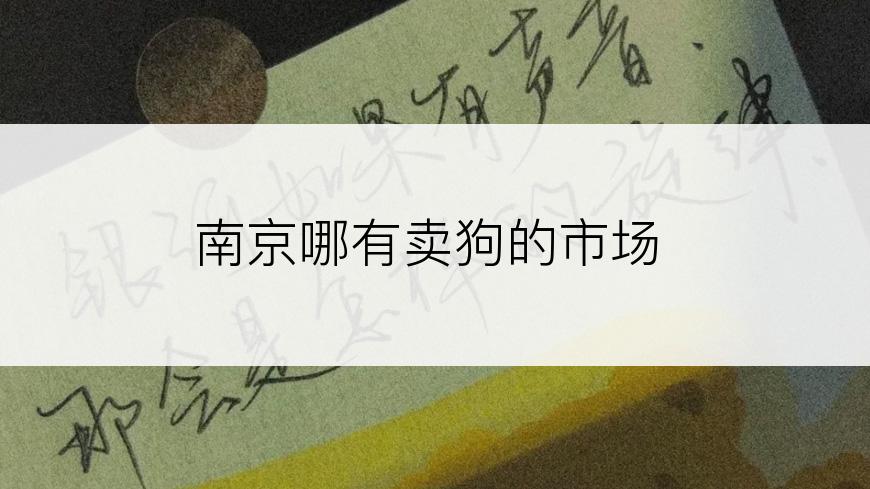 南京哪有卖狗的市场