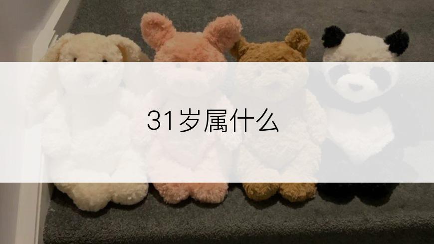 31岁属什么