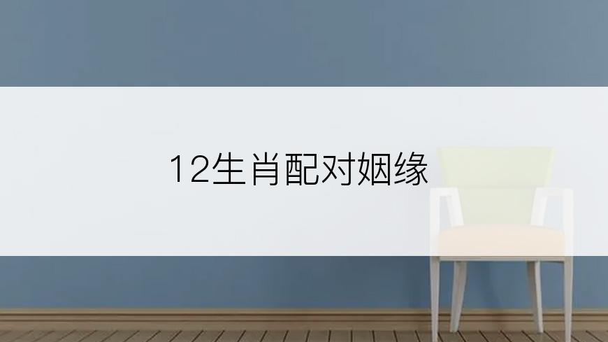 12生肖配对姻缘