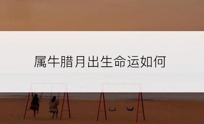 属牛腊月出生命运如何
