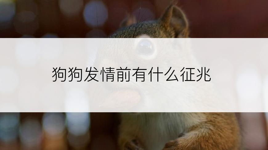 狗狗发情前有什么征兆