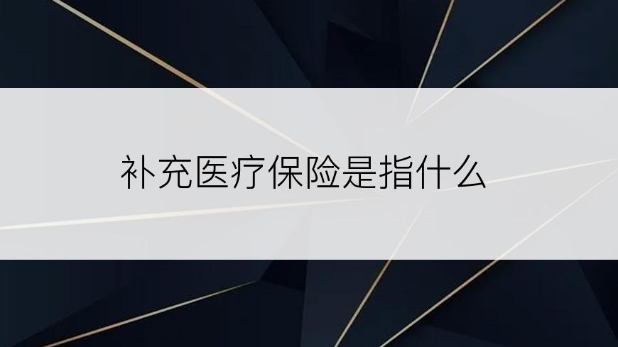 补充医疗保险是指什么