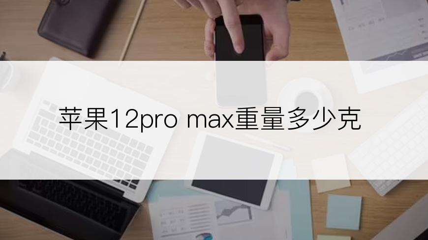 苹果12pro max重量多少克