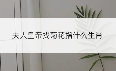 夫人皇帝找菊花指什么生肖