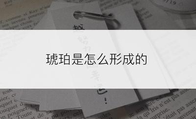 琥珀是怎么形成的