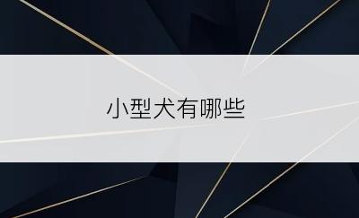 小型犬有哪些