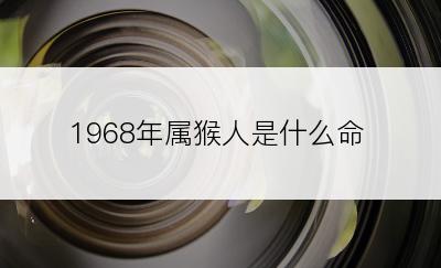 1968年属猴人是什么命