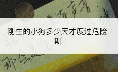 刚生的小狗多少天才度过危险期