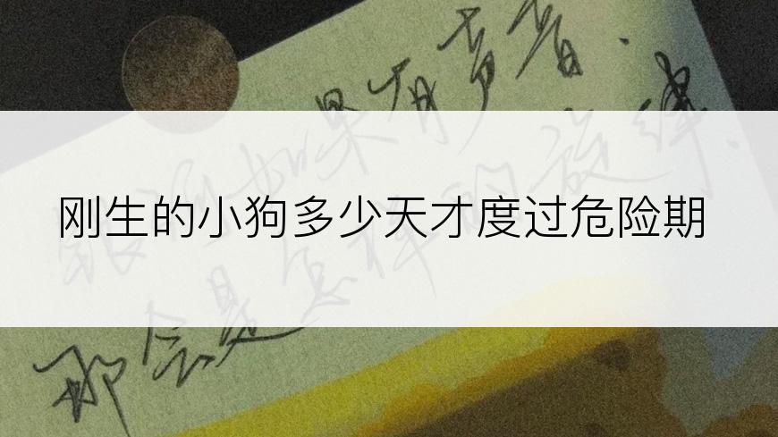 刚生的小狗多少天才度过危险期