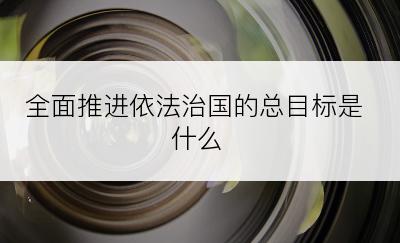 全面推进依法治国的总目标是什么