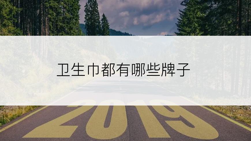 卫生巾都有哪些牌子