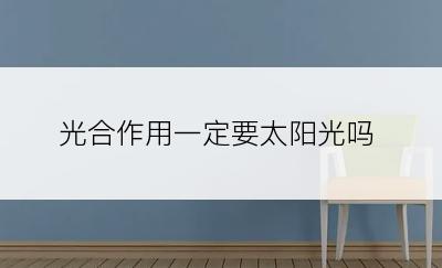 光合作用一定要太阳光吗