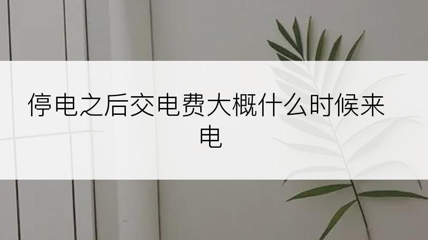停电之后交电费大概什么时候来电