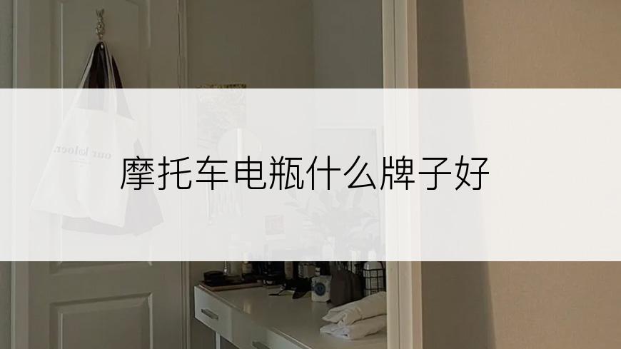 摩托车电瓶什么牌子好