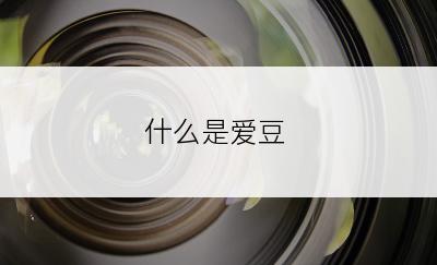 什么是爱豆