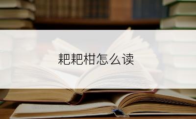 耙耙柑怎么读