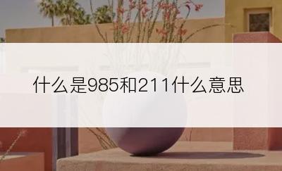 什么是985和211什么意思