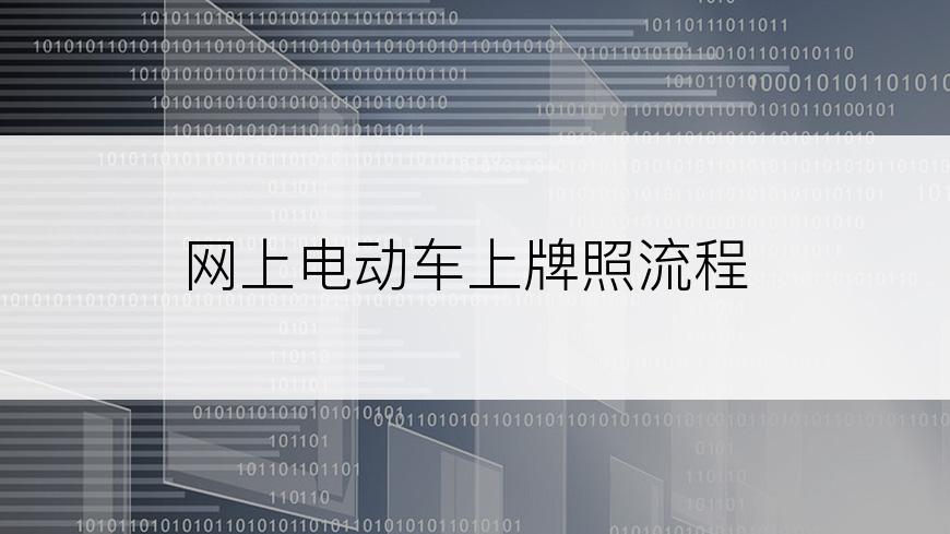 网上电动车上牌照流程