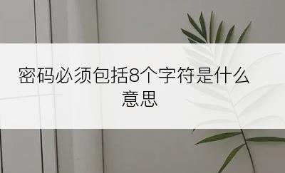 密码必须包括8个字符是什么意思