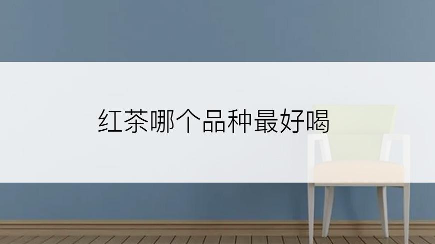 红茶哪个品种最好喝