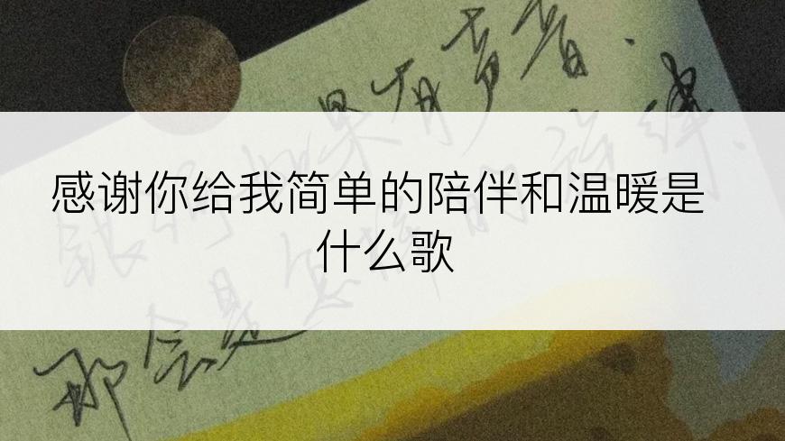 感谢你给我简单的陪伴和温暖是什么歌