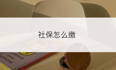 社保怎么缴