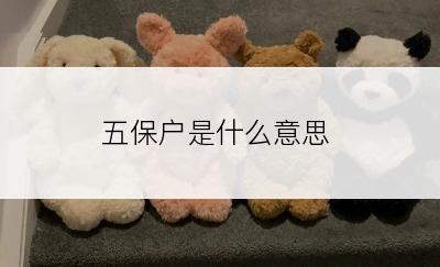 五保户是什么意思