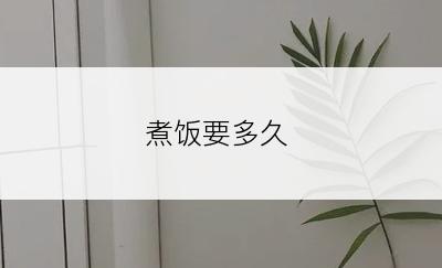 煮饭要多久