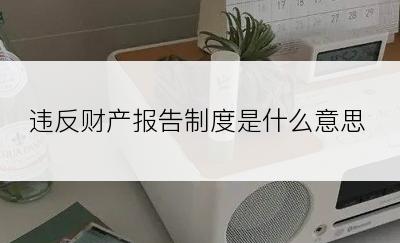 违反财产报告制度是什么意思