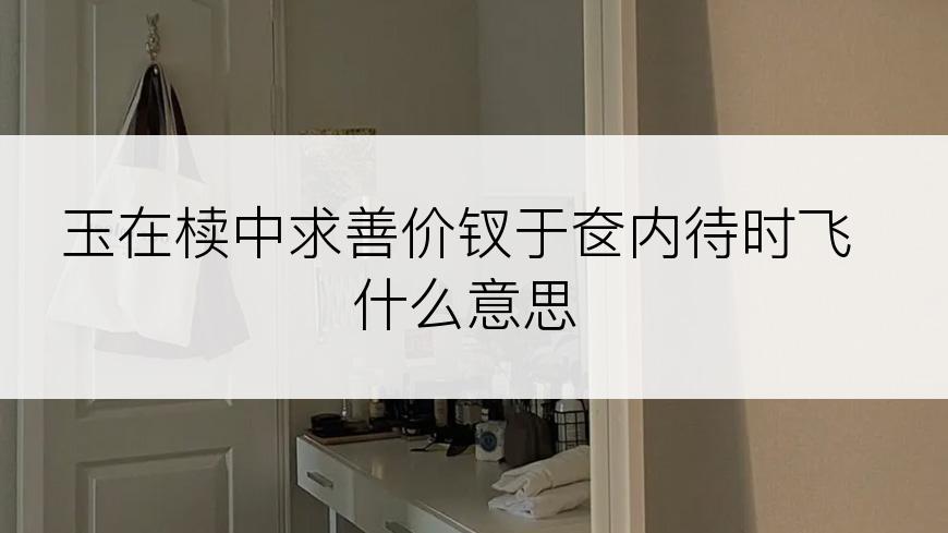 玉在椟中求善价钗于奁内待时飞什么意思