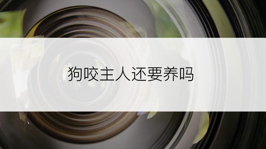 狗咬主人还要养吗